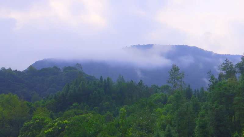 感恩父母—孝行目連山