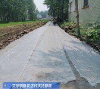 艾亭鎮桃花店村道路義務援建工程